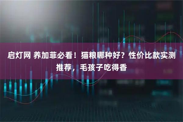 启灯网 养加菲必看！猫粮哪种好？性价比款实测推荐，毛孩子吃得香
